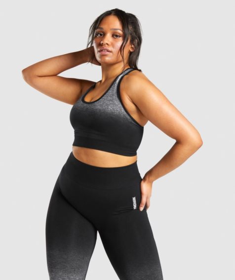 Gymshark Adapt Ombre Seamless Sport Bh Damen Schwarz | AT-03-ZKVD