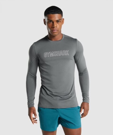 Gymshark Arrival Long Sleeve Graphic T-shirts Herren Grau | AT-06-LJCZ