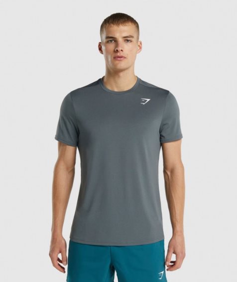 Gymshark Arrival Regular Fit T-shirts Herren Grau | AT-09-CLPT