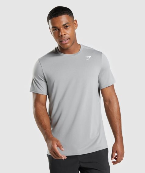 Gymshark Arrival Regular Fit T-shirts Herren Hellgrau | AT-96-JXCU