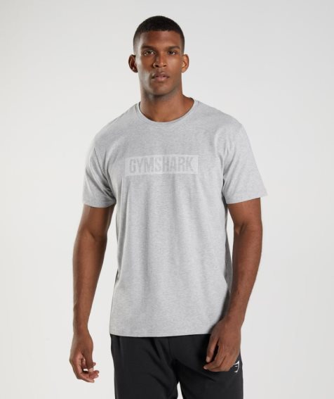 Gymshark Block T-shirts Herren Hellgrau | AT-89-MWES