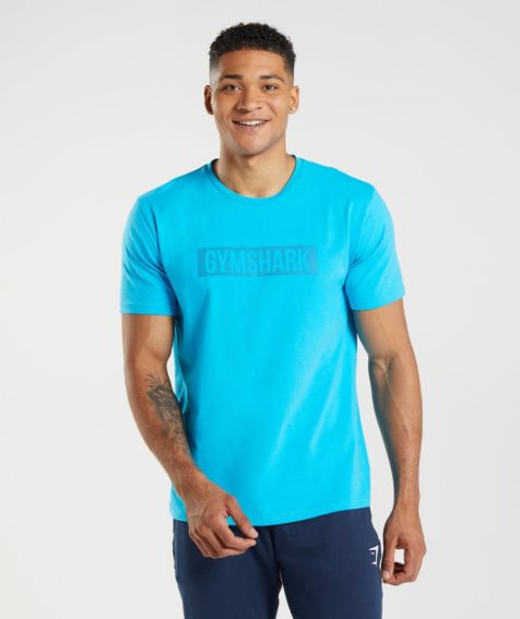 Gymshark Block T-shirts Herren Türkis | AT-76-YJMH