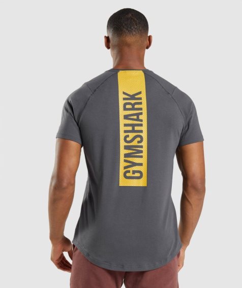 Gymshark Bold T-shirts Herren Dunkelgrau | AT-24-FIOC