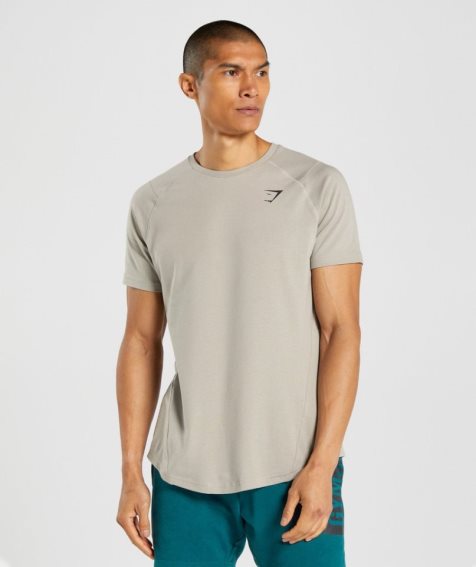 Gymshark Bold T-shirts Herren Grau | AT-63-OWCL