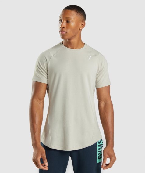 Gymshark Bold T-shirts Herren Mintfarben | AT-59-FZQU