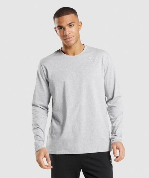 Gymshark Crest Long Sleeve T-shirts Herren Hellgrau | AT-29-FVLM