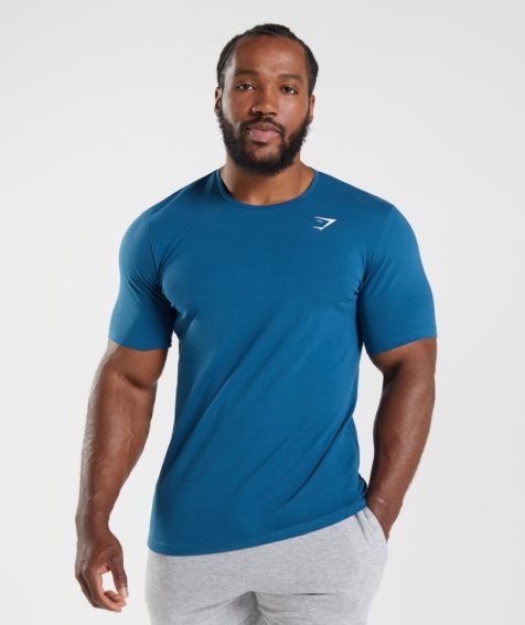 Gymshark Essential T-shirts Herren Blau | AT-03-YDKA