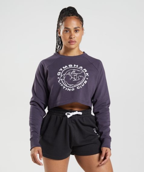 Gymshark Legacy Cropped Sweatshirts Damen Lila | AT-02-LCEN