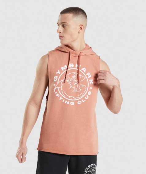 Gymshark Legacy Drop Arm Hoodie Herren Rosa | AT-18-IJSH