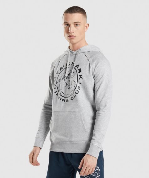 Gymshark Legacy Hoodie Herren Hellgrau | AT-91-SJDB