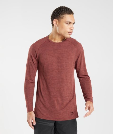 Gymshark Retake Seamless Long Sleeve T-shirts Herren Braun | AT-42-COTU