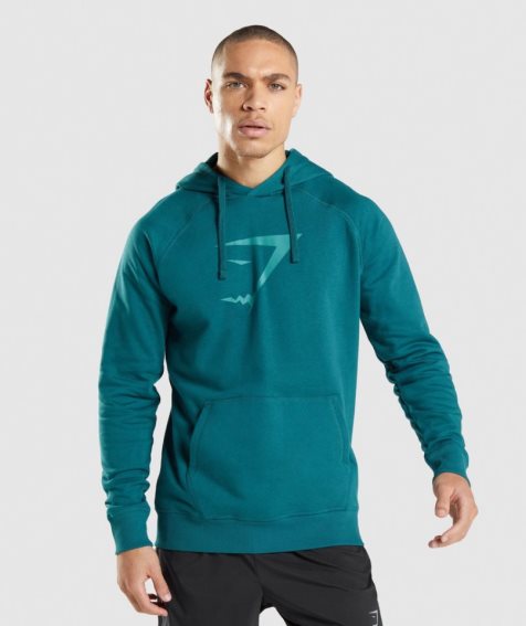 Gymshark Sharkhead Infill Hoodie Herren Türkis | AT-02-DPKB