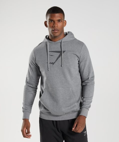 Gymshark Sharkhead Infill Hoodie Herren Grau | AT-19-MNHZ