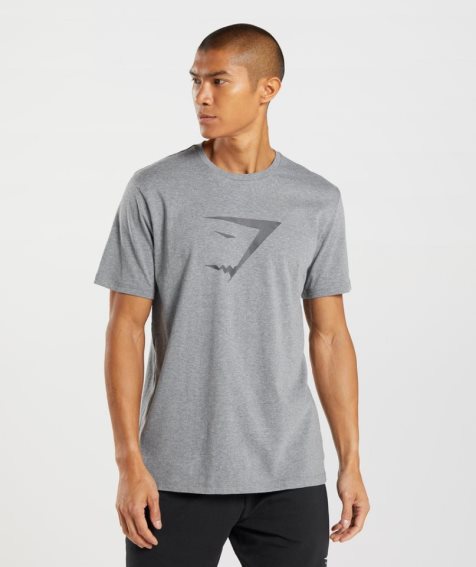 Gymshark Sharkhead Infill T-shirts Herren Grau | AT-01-FSKM