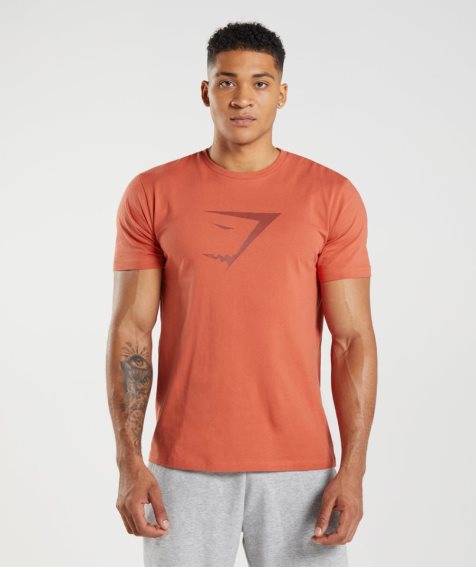 Gymshark Sharkhead Infill T-shirts Herren Orange | AT-84-DEMJ