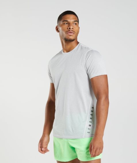 Gymshark Sport T-shirts Herren Hellgrau | AT-12-WFQT