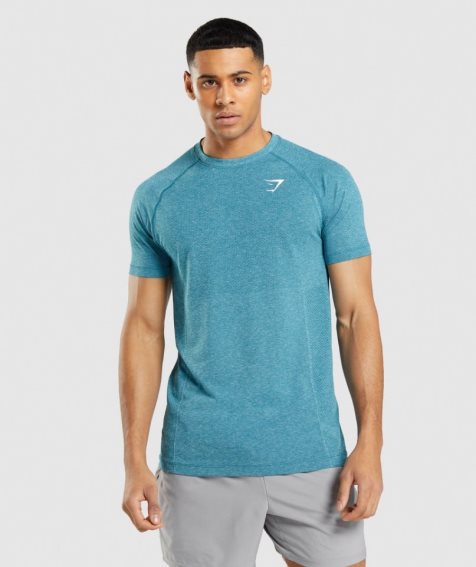 Gymshark Vital Light Seamless T-shirts Herren Türkis | AT-78-MEAX