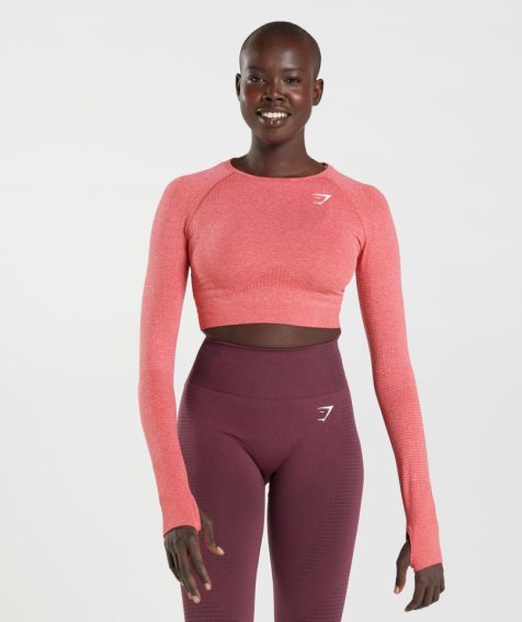 Gymshark Vital Seamless 2.0 Kurz Geschnittene Oberteile Damen Rosa | AT-27-XUFD