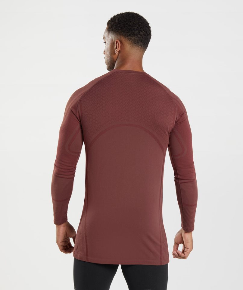 Gymshark 315 Long Sleeve T-shirts Herren Braun | AT-09-CEWH