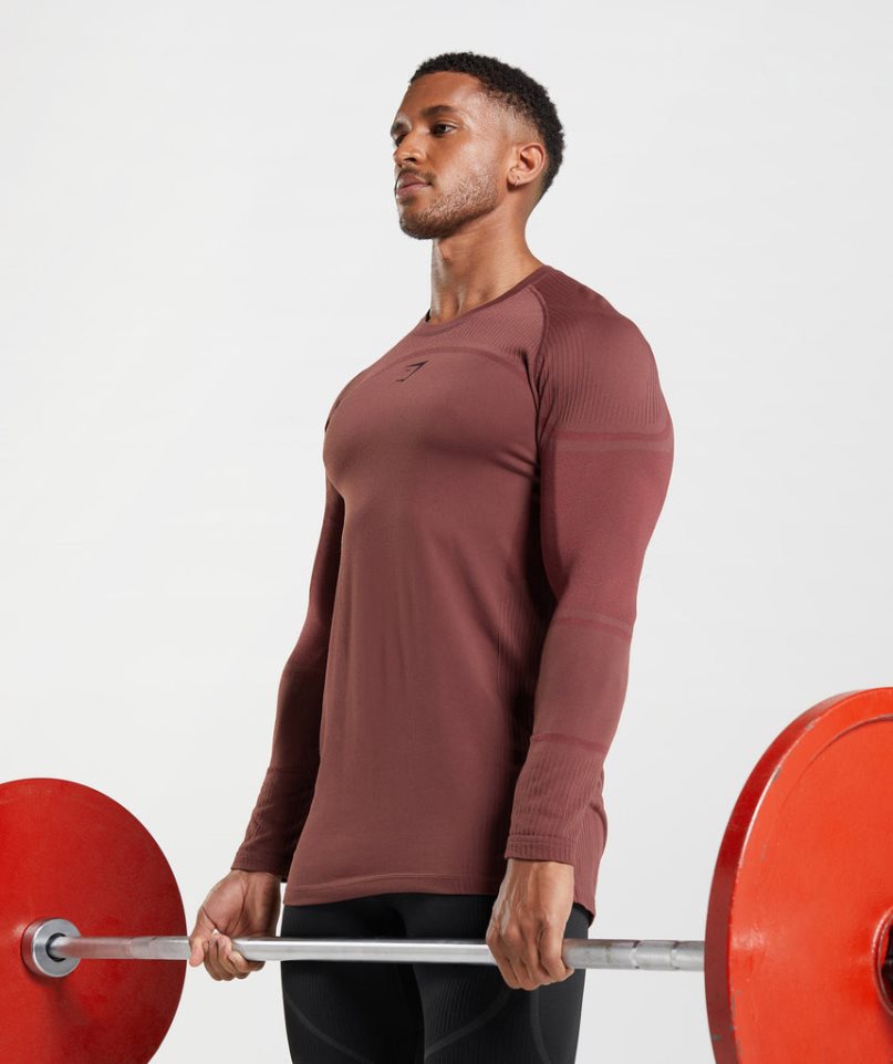 Gymshark 315 Long Sleeve T-shirts Herren Braun | AT-09-CEWH