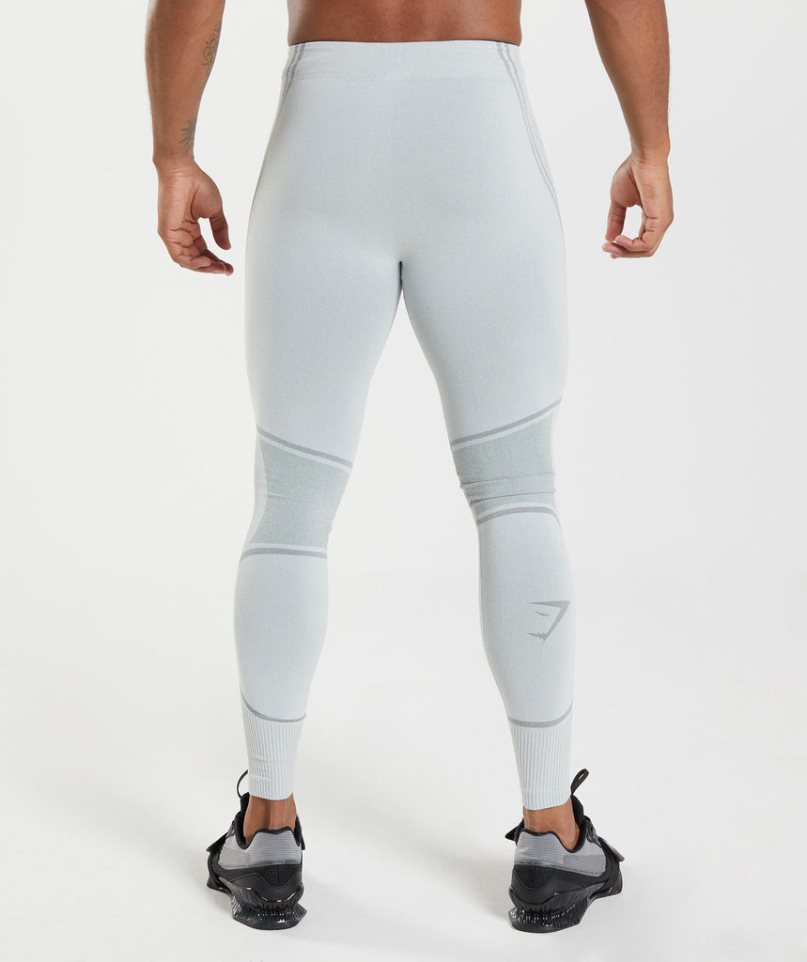 Gymshark 315 Seamless Leggings Herren Hellgrau | AT-06-RKQN