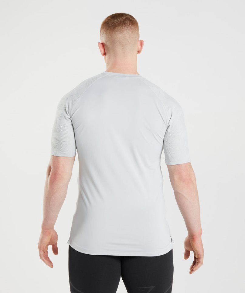 Gymshark 315 T-shirts Herren Hellgrau | AT-09-AUBX