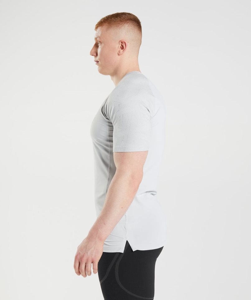 Gymshark 315 T-shirts Herren Hellgrau | AT-09-AUBX