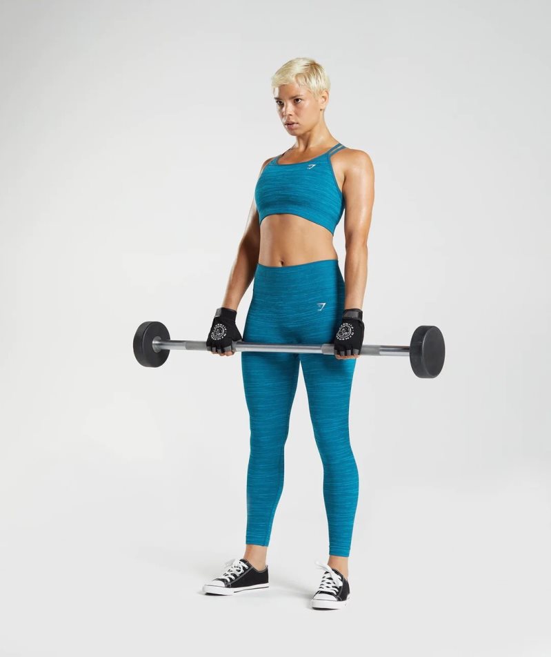 Gymshark Adapt Marl Seamless Leggings Damen Blau | AT-25-UVLM