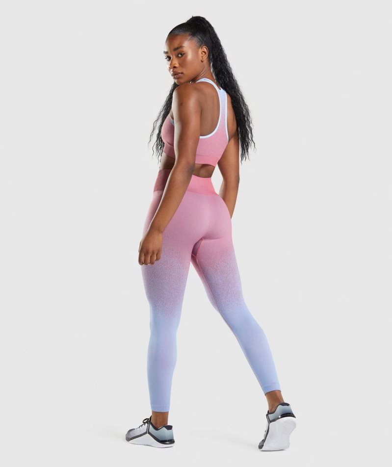 Gymshark Adapt Ombre Seamless Leggings Damen Rosa Hellblau | AT-01-FCVA