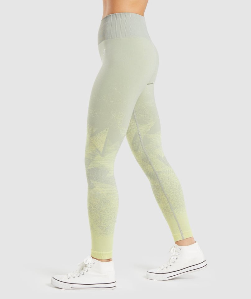 Gymshark Adapt Ombre Seamless Leggings Damen Mintfarben | AT-36-TYDJ