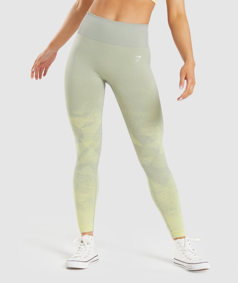 Gymshark Adapt Ombre Seamless Leggings Damen Mintfarben | AT-36-TYDJ