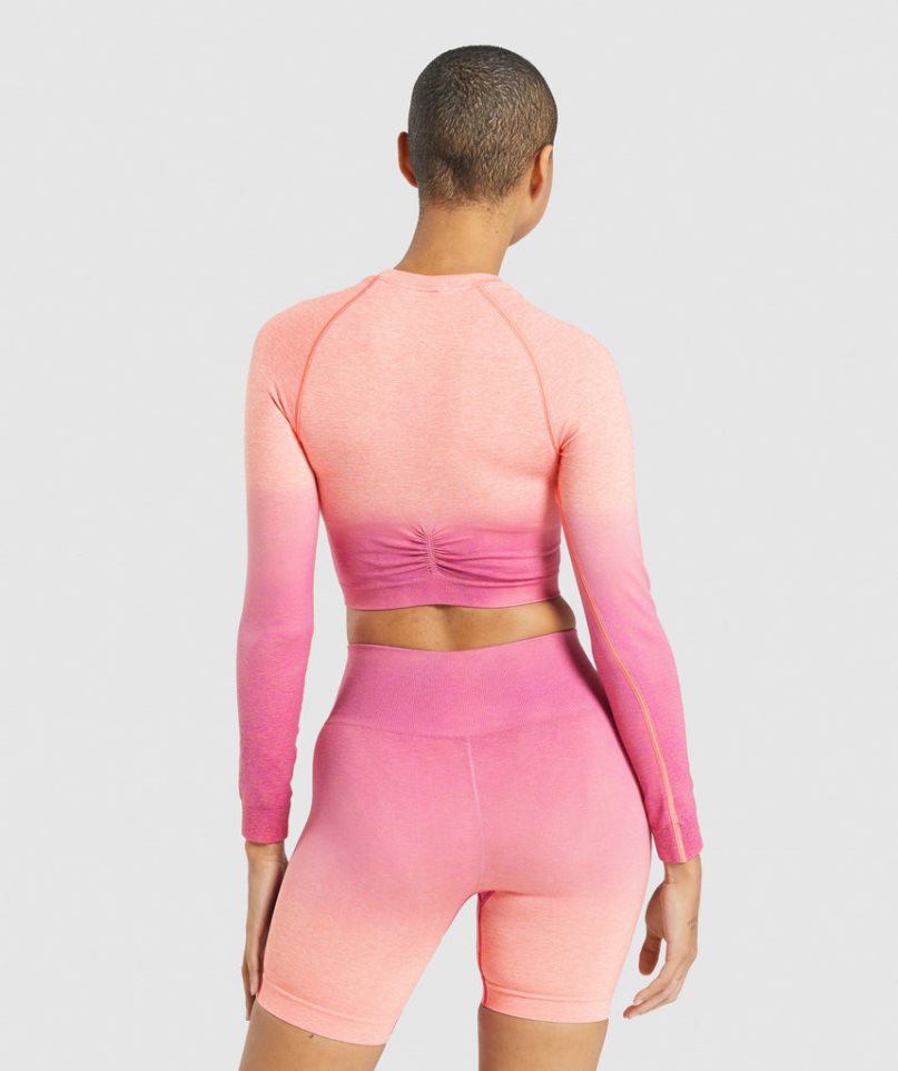 Gymshark Adapt Ombre Seamless Long Sleeve Kurz Geschnittene Oberteile Damen Rosa | AT-26-TGLP