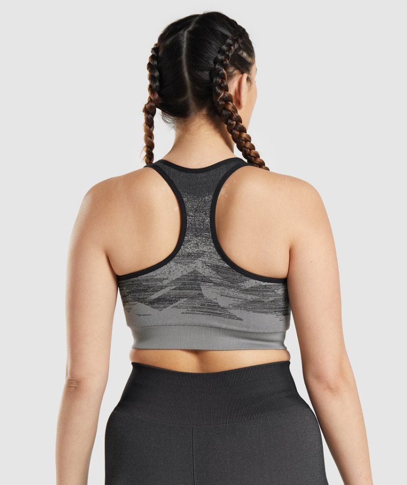 Gymshark Adapt Ombre Seamless Sport Bh Damen Schwarz | AT-85-DRKX