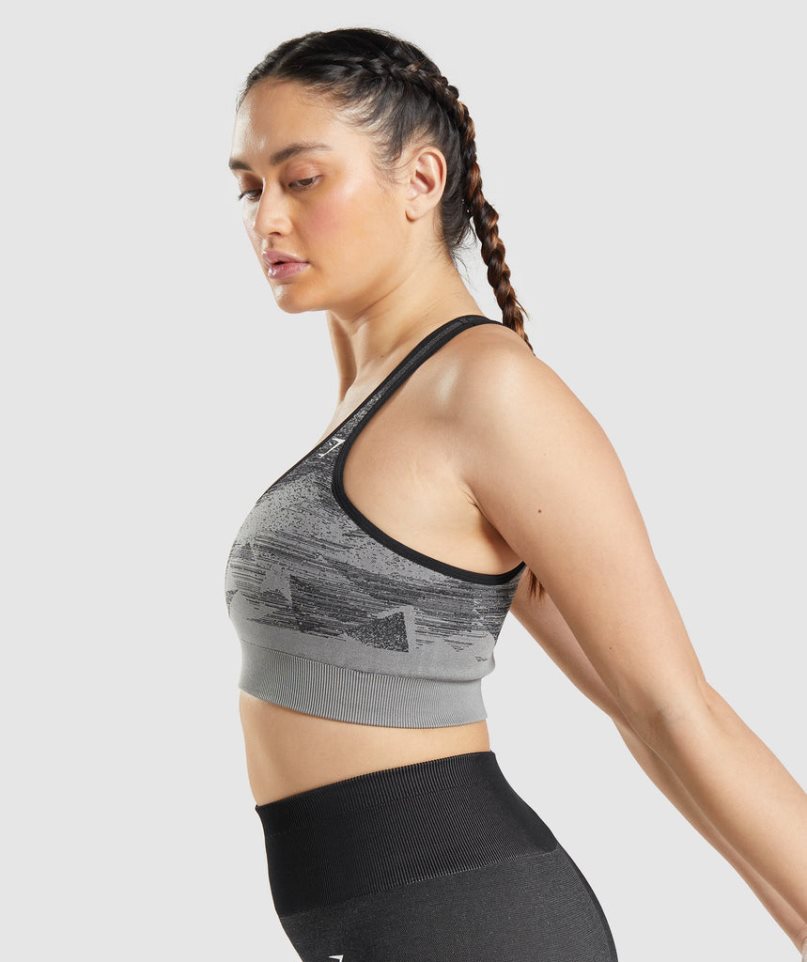 Gymshark Adapt Ombre Seamless Sport Bh Damen Schwarz | AT-85-DRKX