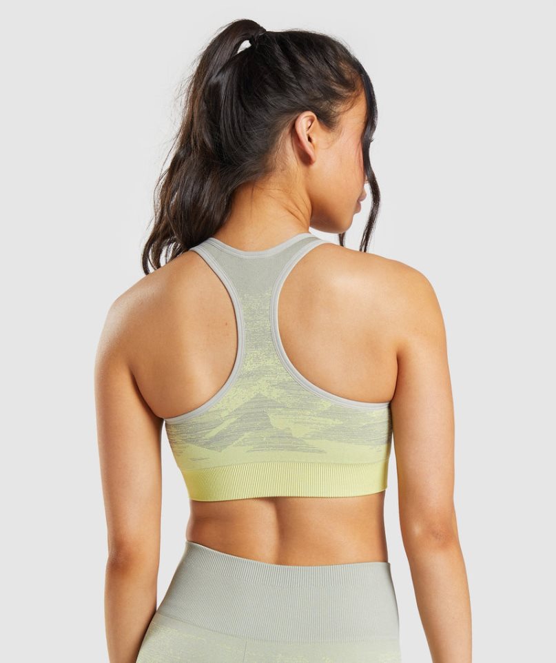 Gymshark Adapt Ombre Seamless Sport Bh Damen Grau | AT-94-UNXI