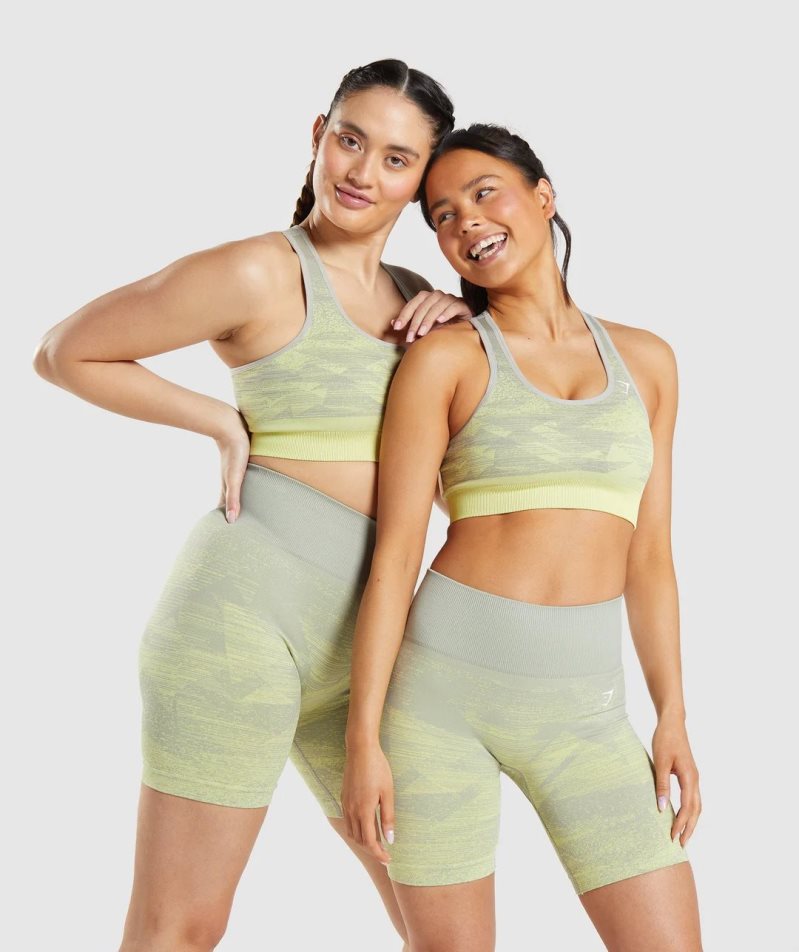 Gymshark Adapt Ombre Seamless Sport Bh Damen Grau | AT-94-UNXI