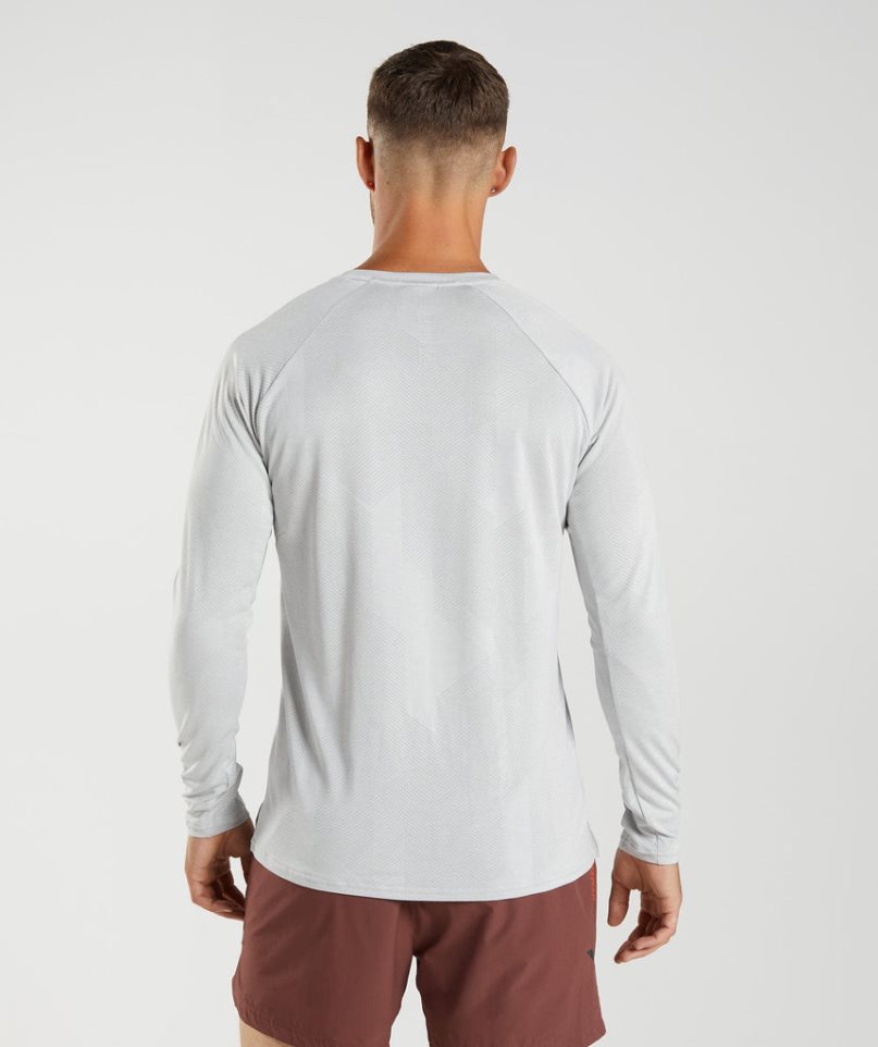 Gymshark Apex Long Sleeve T-shirts Herren Hellgrau | AT-09-JRGX