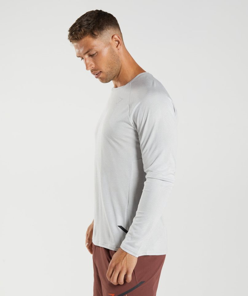 Gymshark Apex Long Sleeve T-shirts Herren Hellgrau | AT-09-JRGX