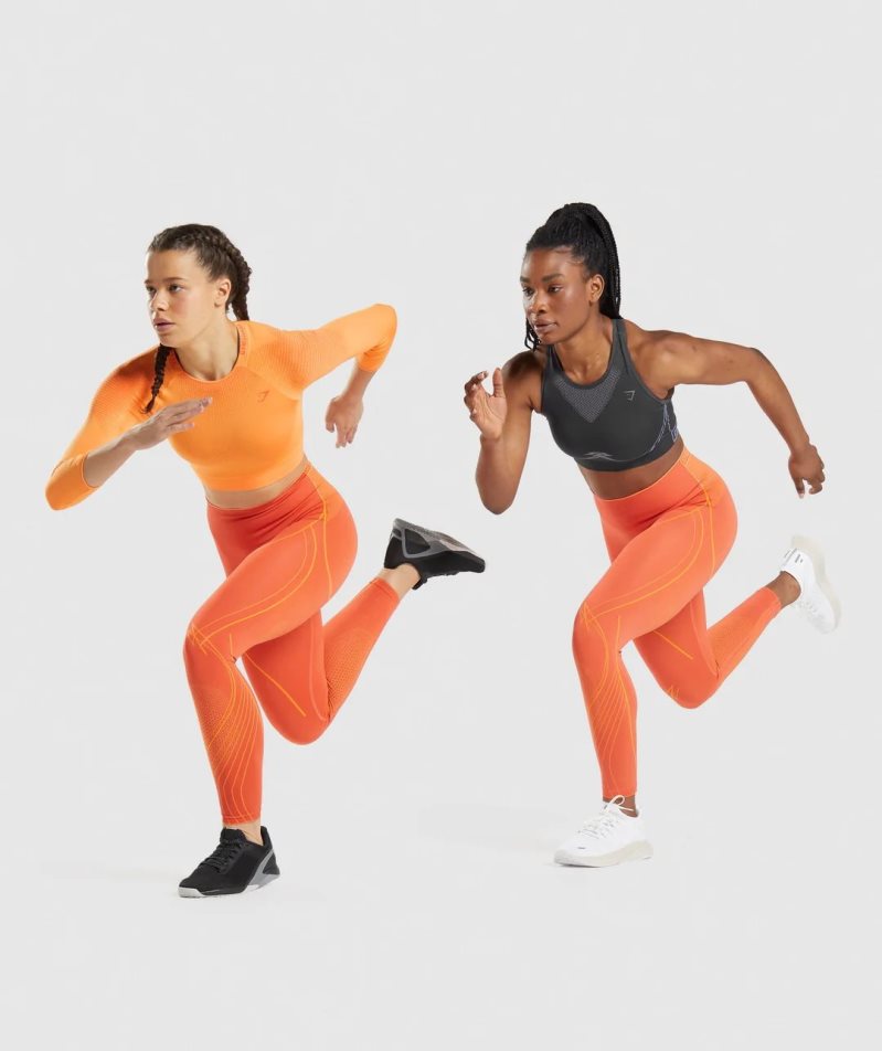 Gymshark Apex Seamless High Rise Leggings Damen Orange | AT-91-PDLW