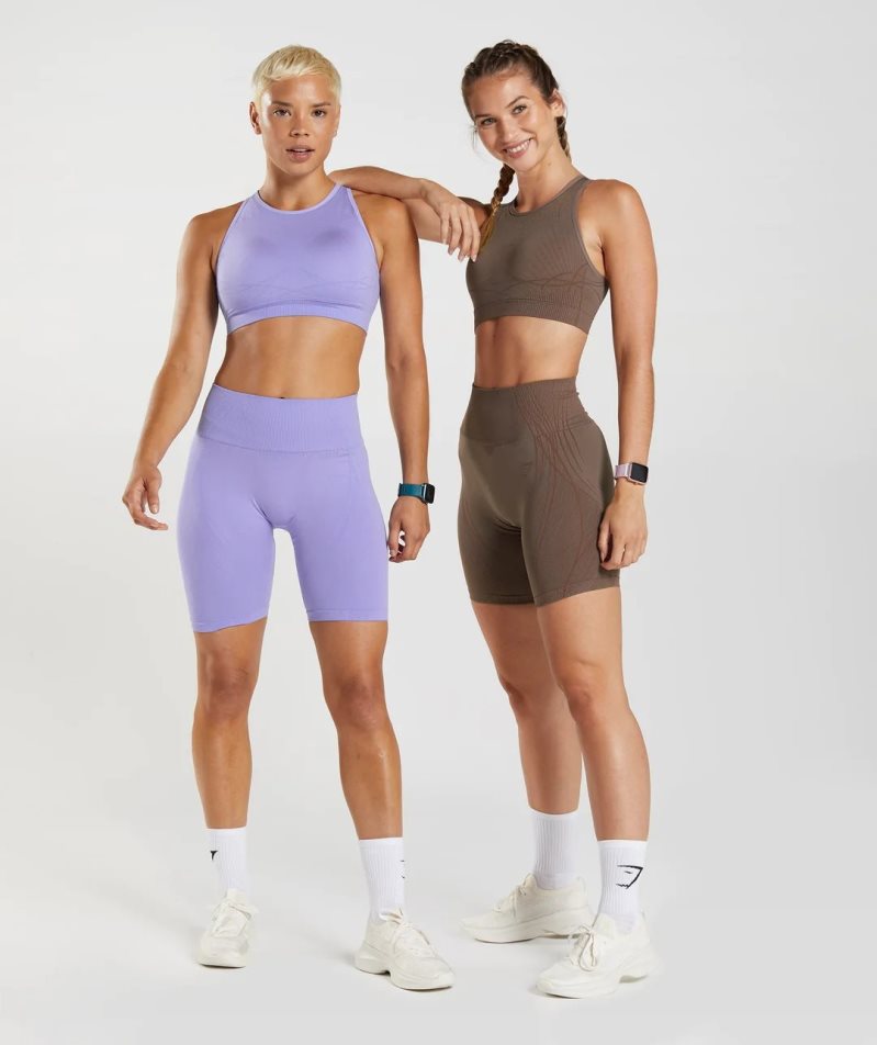 Gymshark Apex Seamless Kurze Hose Damen Lila | AT-94-WVID