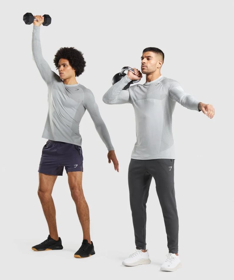 Gymshark Apex Seamless Long Sleeve T-shirts Herren Hellgrau | AT-86-SXNE