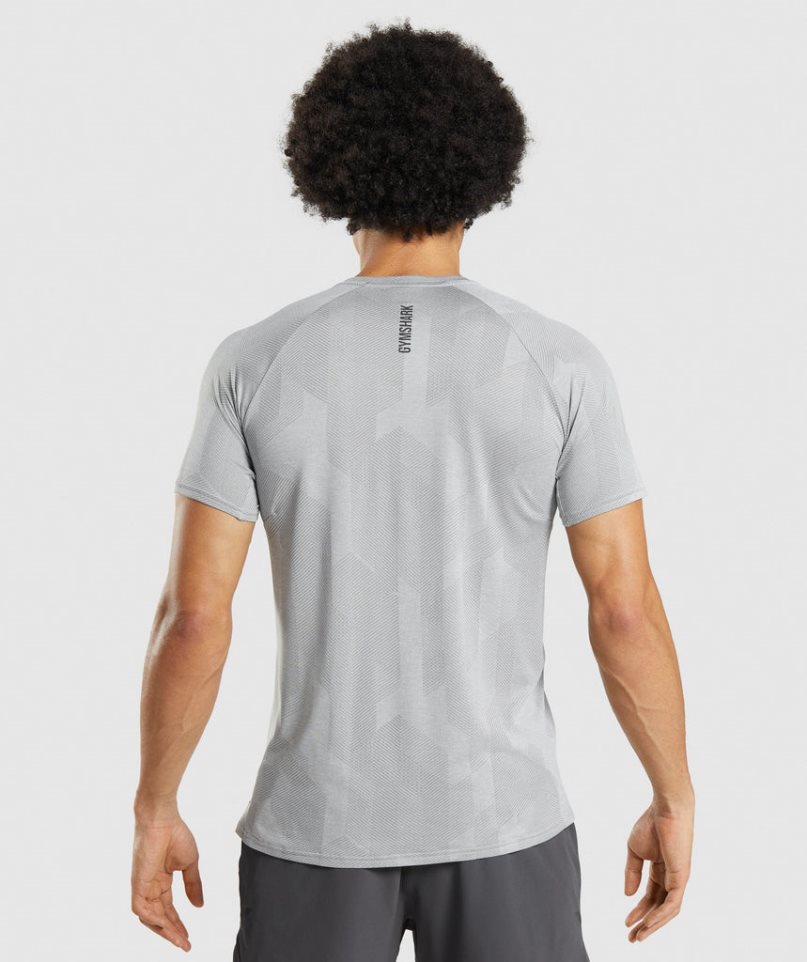 Gymshark Apex T-shirts Herren Hellgrau | AT-01-LSHM