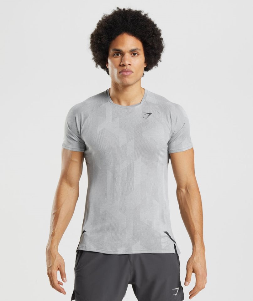 Gymshark Apex T-shirts Herren Hellgrau | AT-01-LSHM