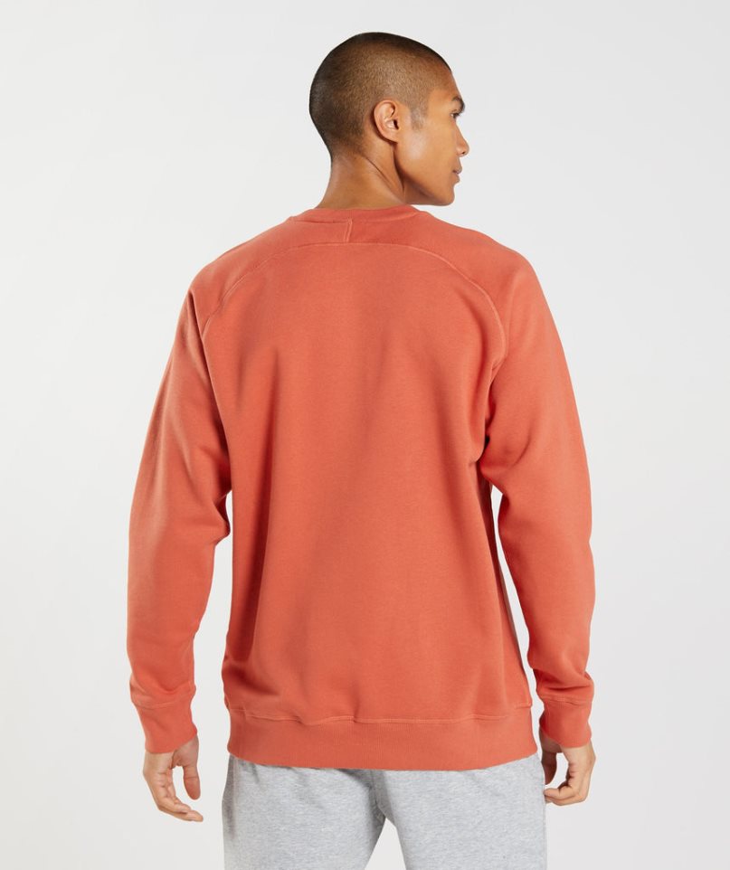 Gymshark Apollo Crew Sweatshirts Herren Orange | AT-14-AWPO