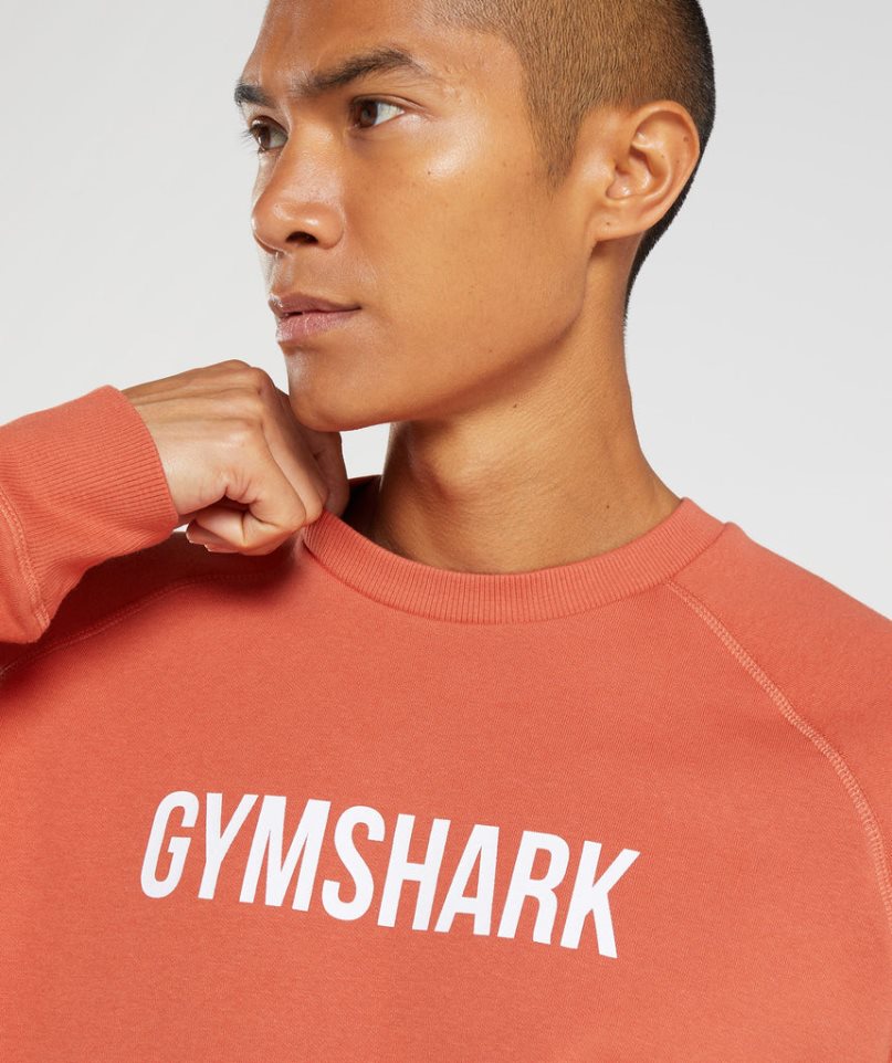 Gymshark Apollo Crew Sweatshirts Herren Orange | AT-14-AWPO