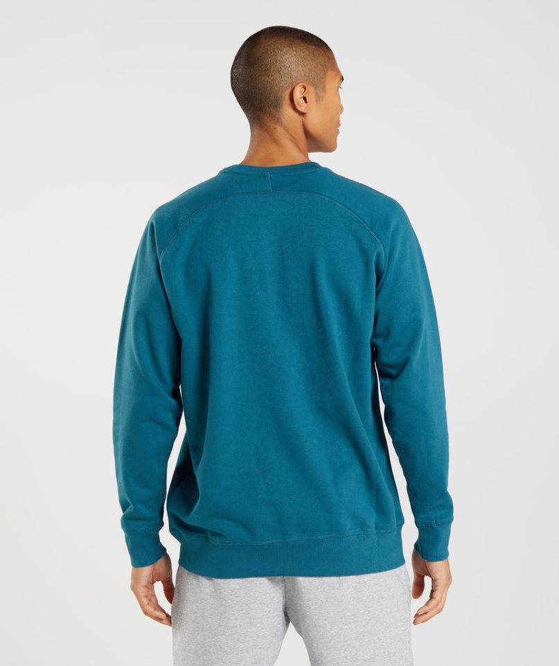 Gymshark Apollo Crew Sweatshirts Herren Türkis | AT-90-QMIH