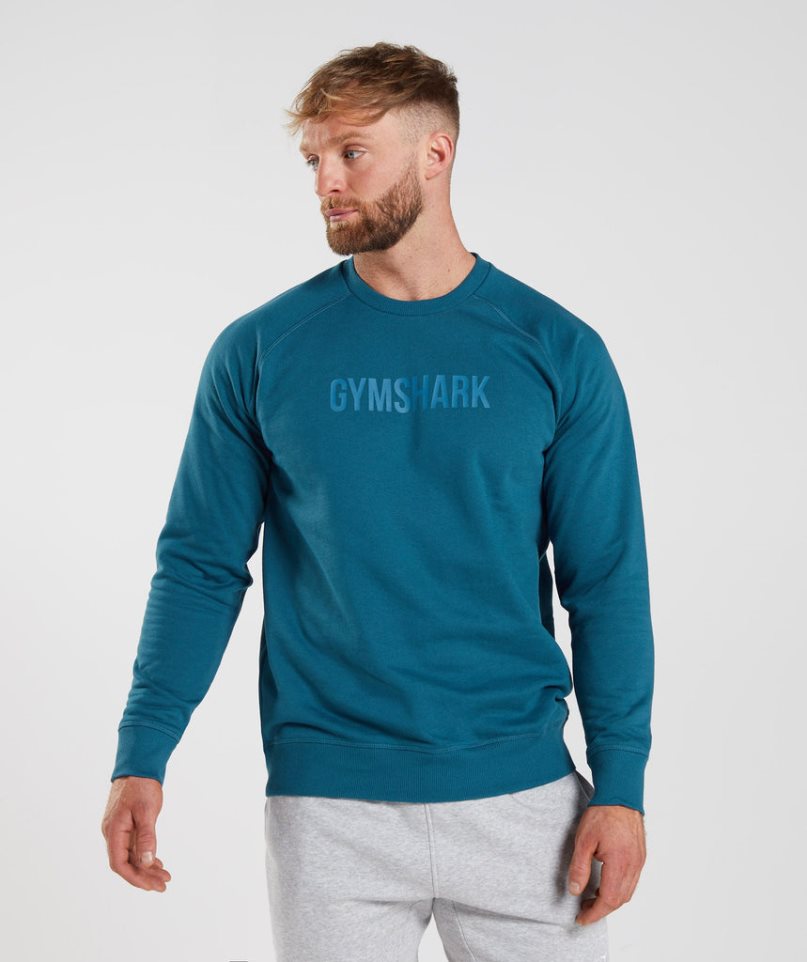 Gymshark Apollo Crew Sweatshirts Herren Türkis | AT-93-ZGEO