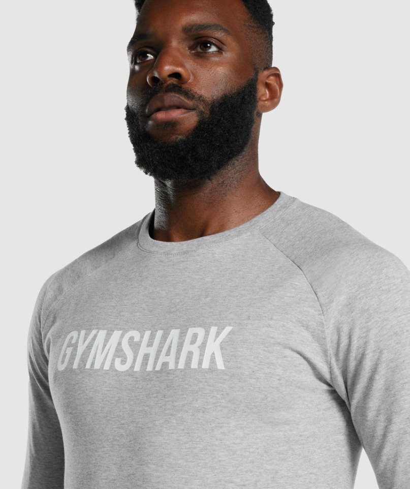 Gymshark Apollo Long Sleeve T-shirts Herren Hellgrau | AT-60-PFTQ