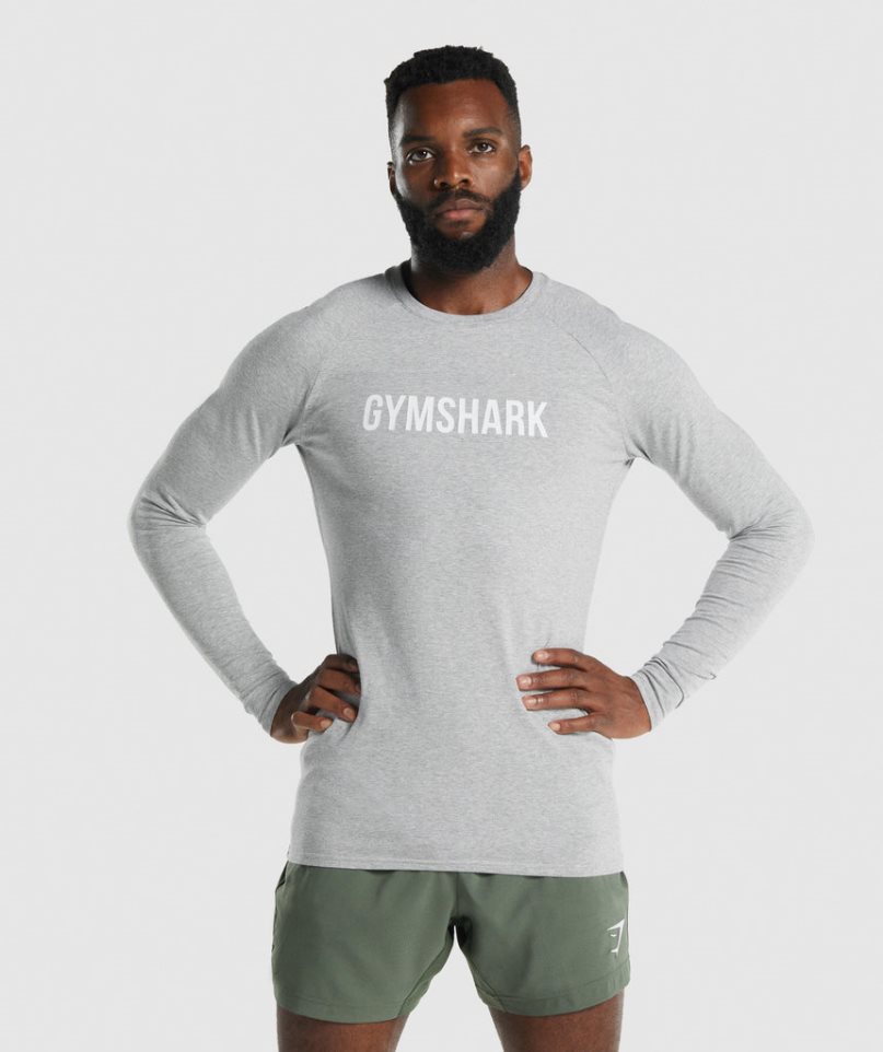 Gymshark Apollo Long Sleeve T-shirts Herren Hellgrau | AT-60-PFTQ