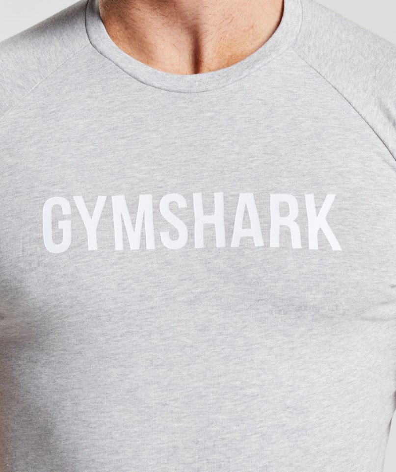 Gymshark Apollo T-shirts Herren Hellgrau | AT-03-QZWX